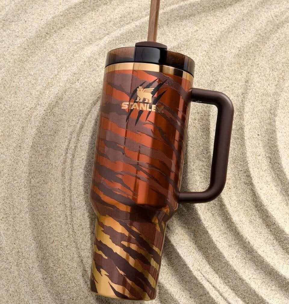 Classy Tyla-Inspired Quencher Water Bottle with Silk Carry Bag – Elegant & Trendy Hydration Set
